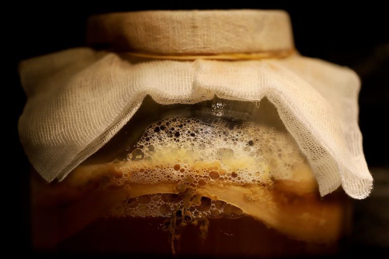 Quels sont les produits lacto-fermentés et comment les choisir ?